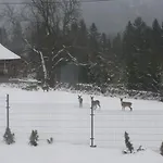 Oaza Soblowka * Sablówka