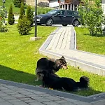 Oaza Soblowka Alpstuga Sablówka