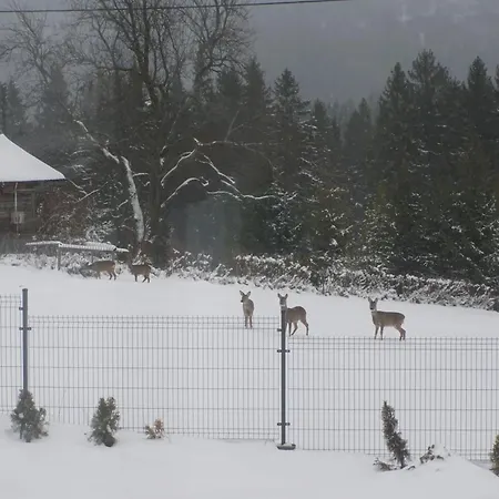 Oaza Soblowka * Sablowka