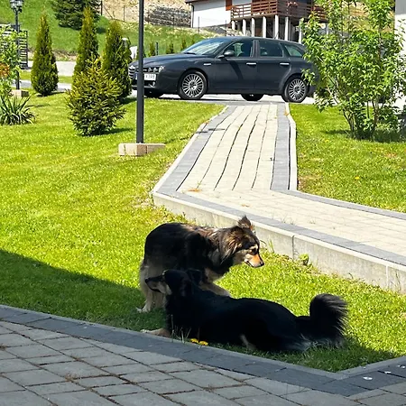 Oaza Soblowka Horská chata Sablówka