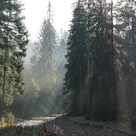 Chalet Oaza Soblowka *