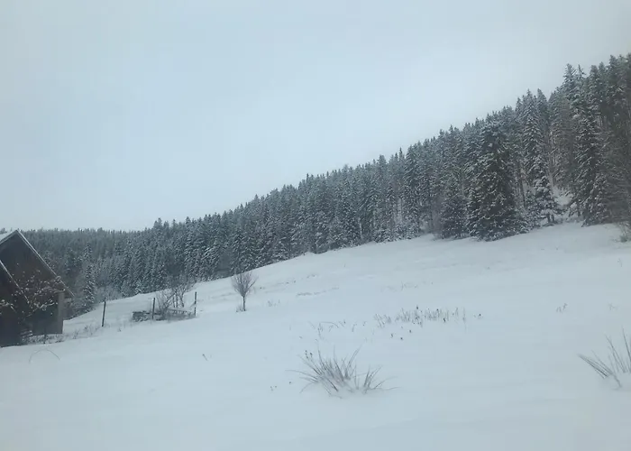 Oaza Soblowka Шале Sablowka