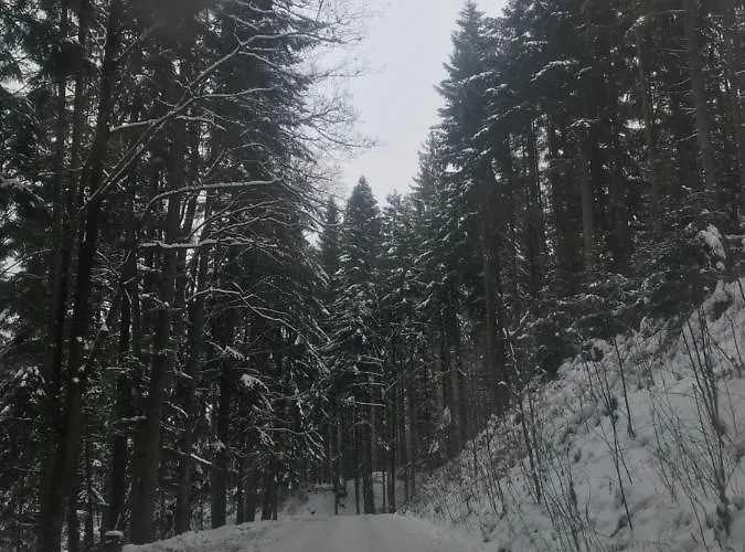 Oaza Soblowka Dağ evi *