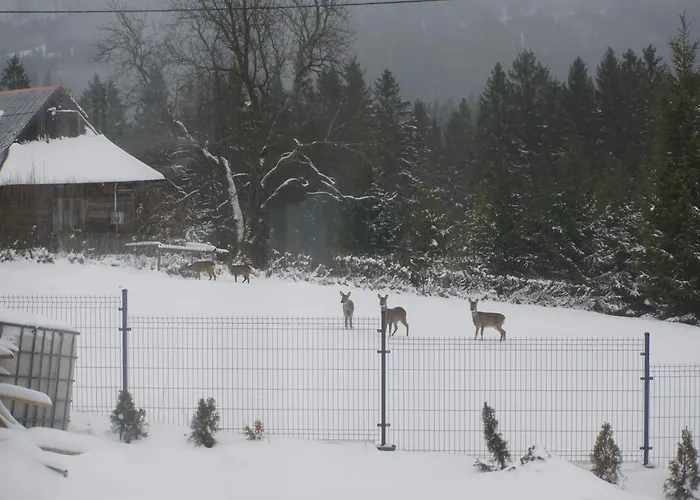 Oaza Soblowka * Sablówka