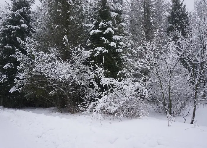 Oaza Soblowka בקתה