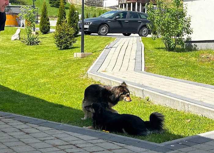 Oaza Soblowka Dağ evi Sablówka