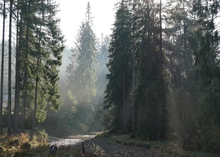 בקתה Oaza Soblowka *